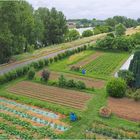 Des jardins le long de la Garonne à Agen