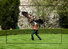 DES KAISERADLER`S RÜCKEN KANN AUCH ENTZÜCKEN