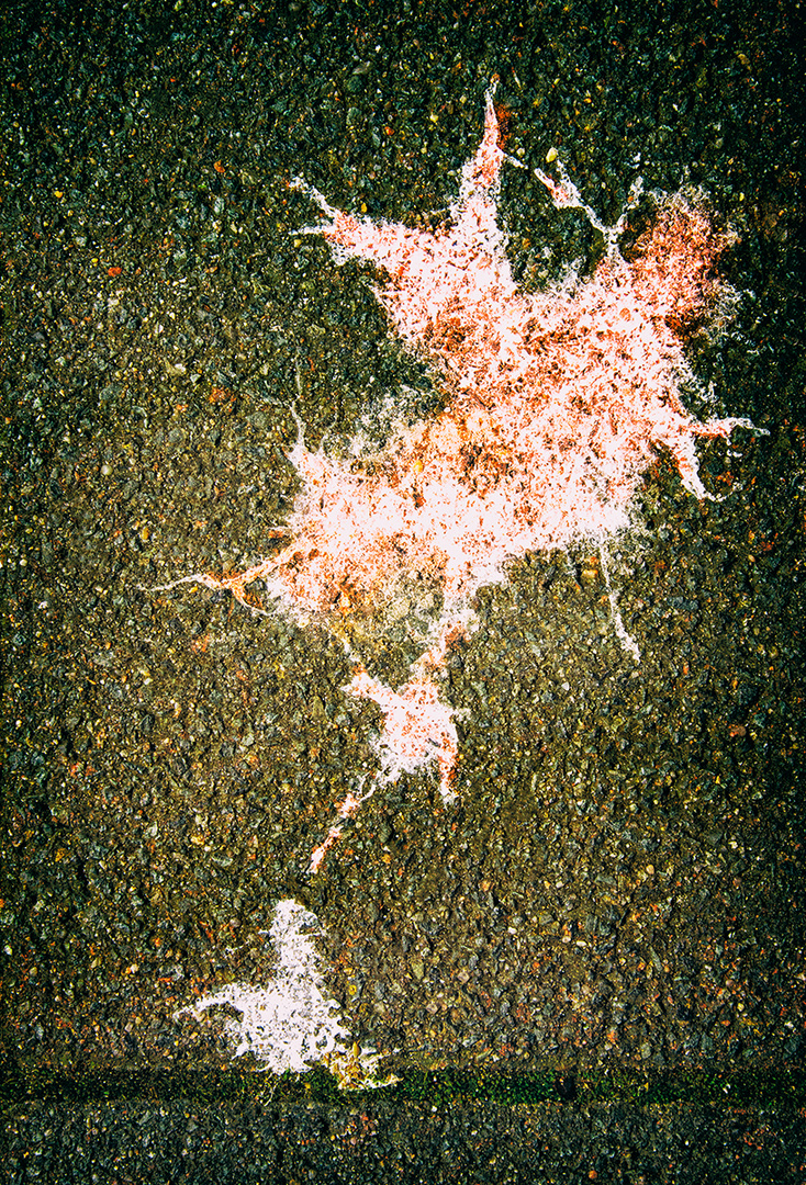 Des kleinen Entleins rosa Traum