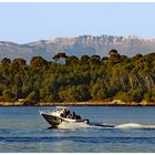 des îles  de lerins au  montCheiron (1778 m) , alpes maritimes