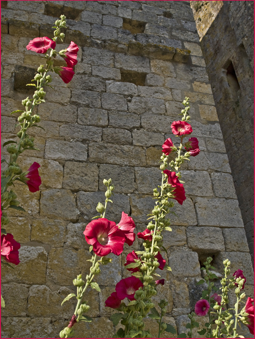 Des murs à Larressingle…