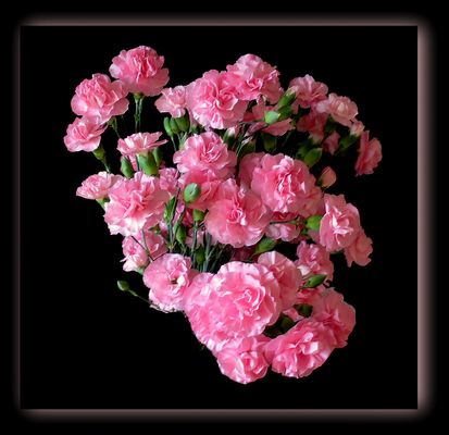 DES OEILLETS ...TOUT SIMPLEMENT