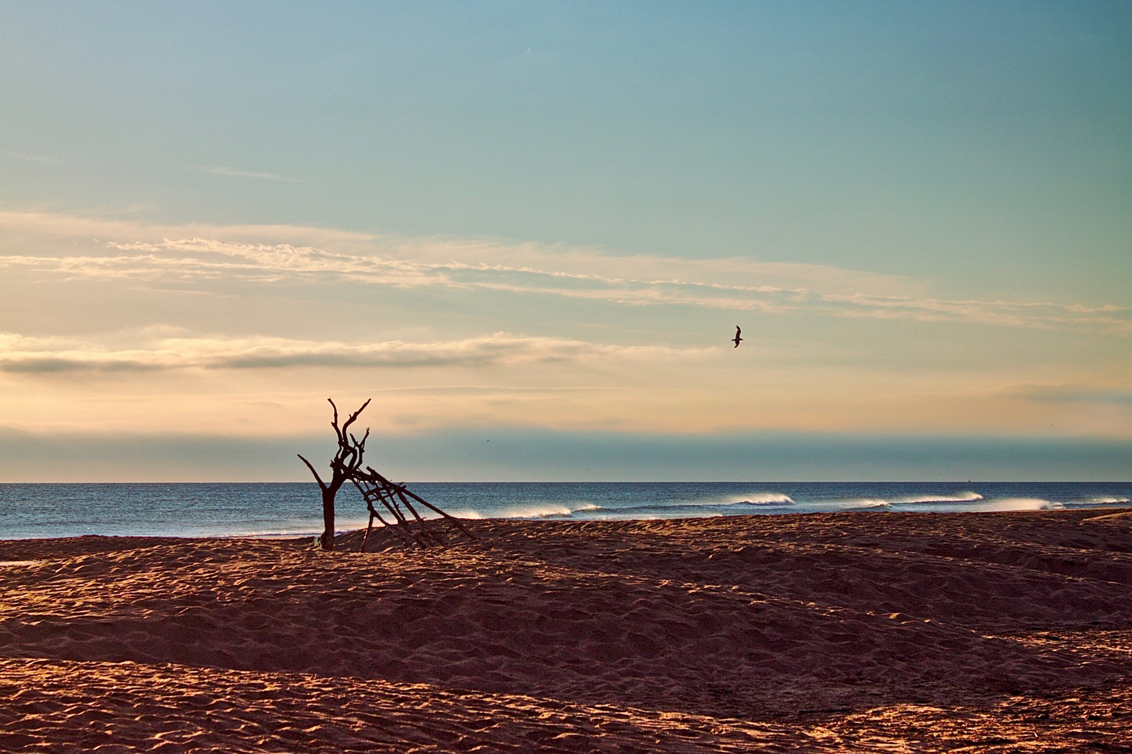 Des racines ou des ailes.