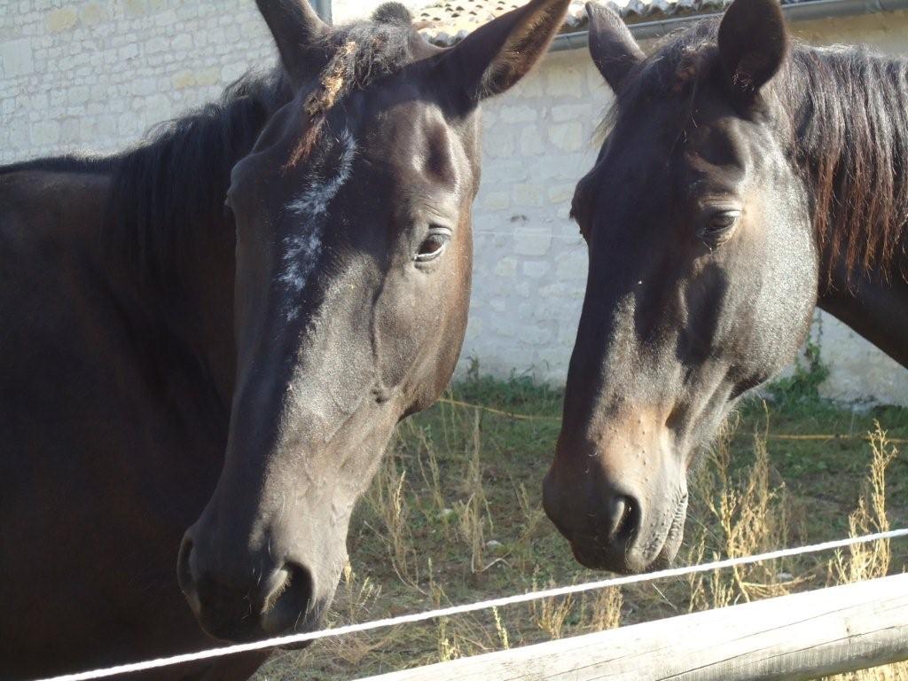 Des regards qui en disent long