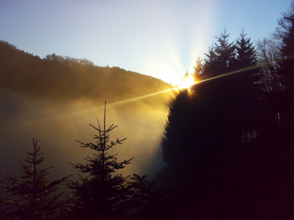 Des Schwarzwaldes Nebel