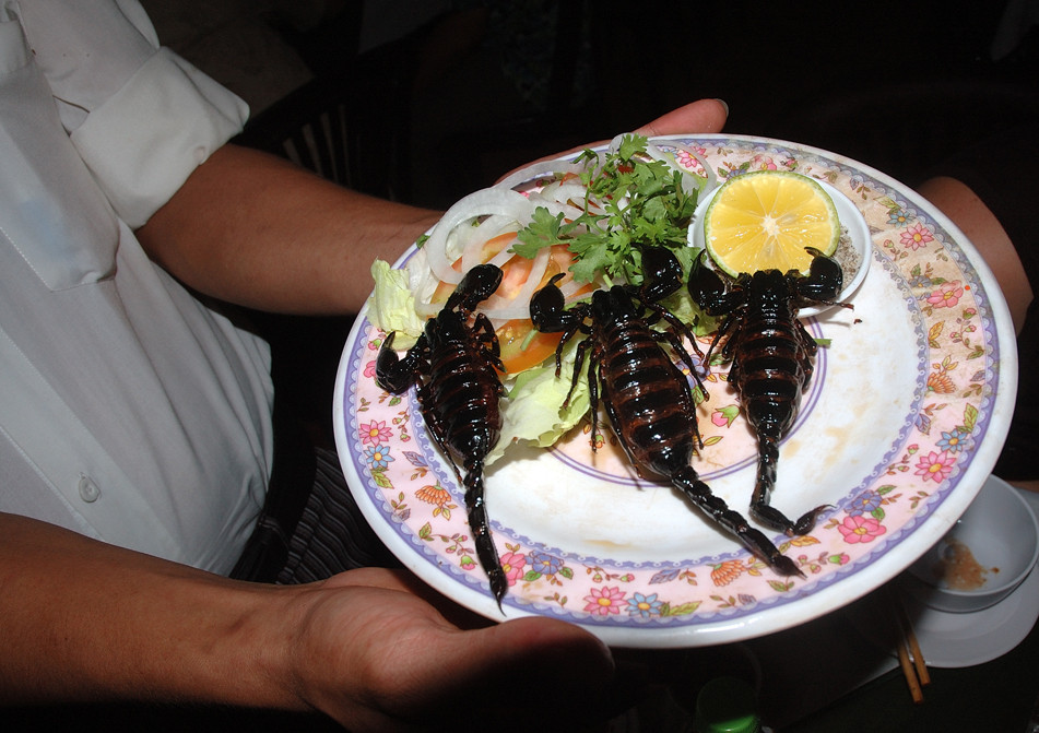 Des scorpions dans mon assiette