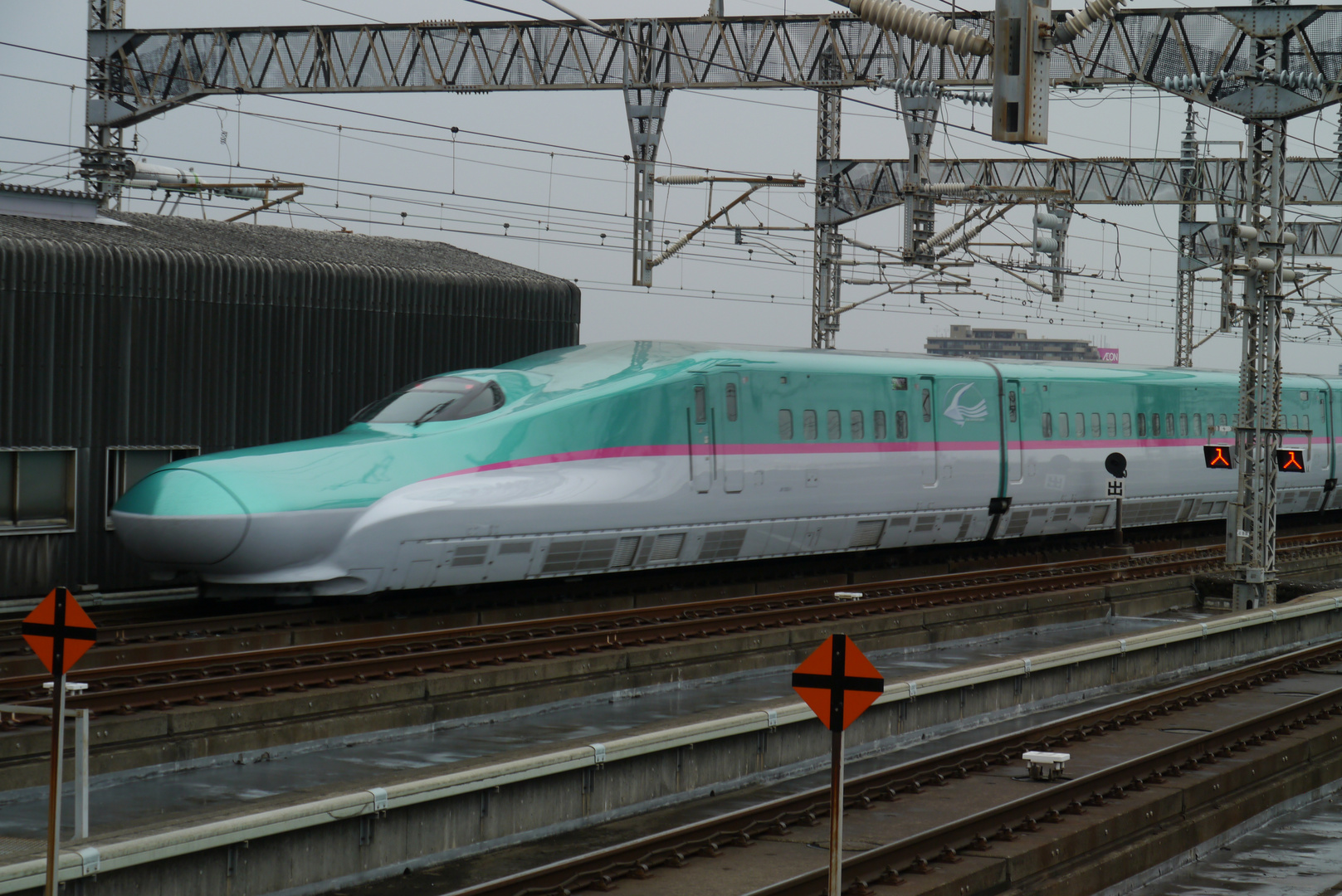 Des Shinkansen lange Nase