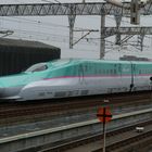 Des Shinkansen lange Nase