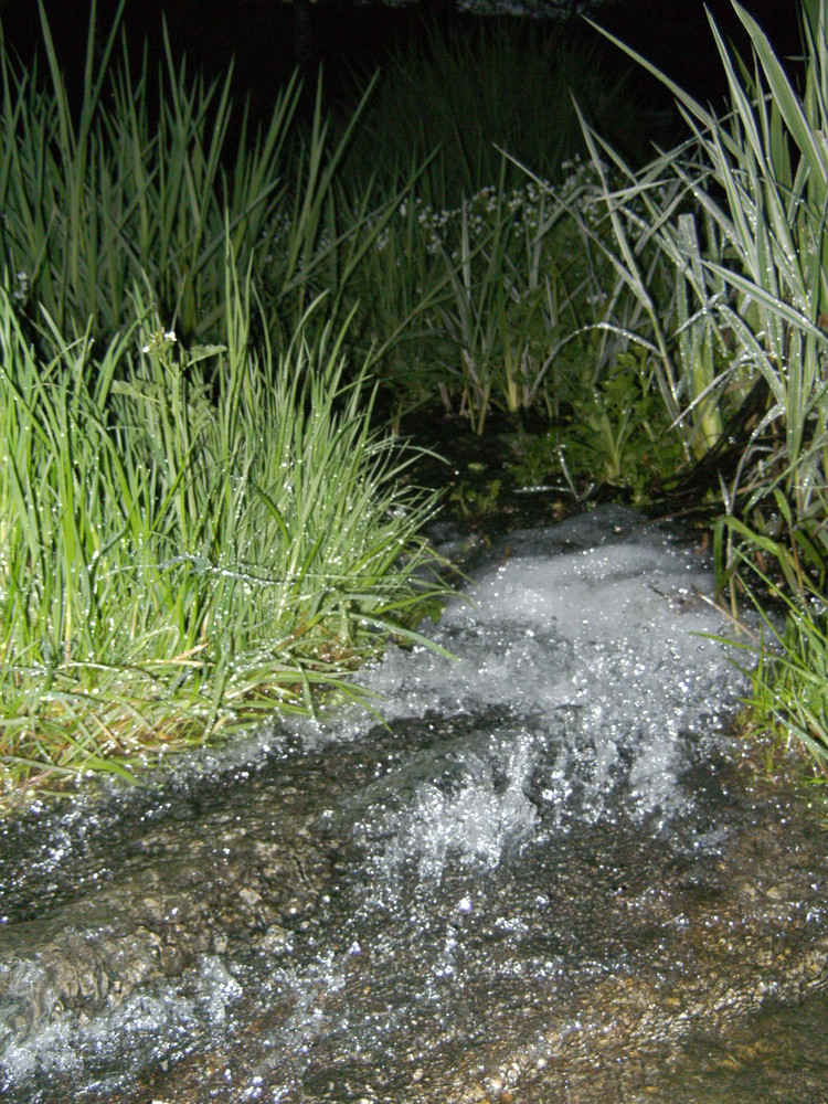 Des Sommer steht vor der Tür