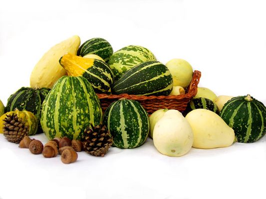 Des Sommers Früchte