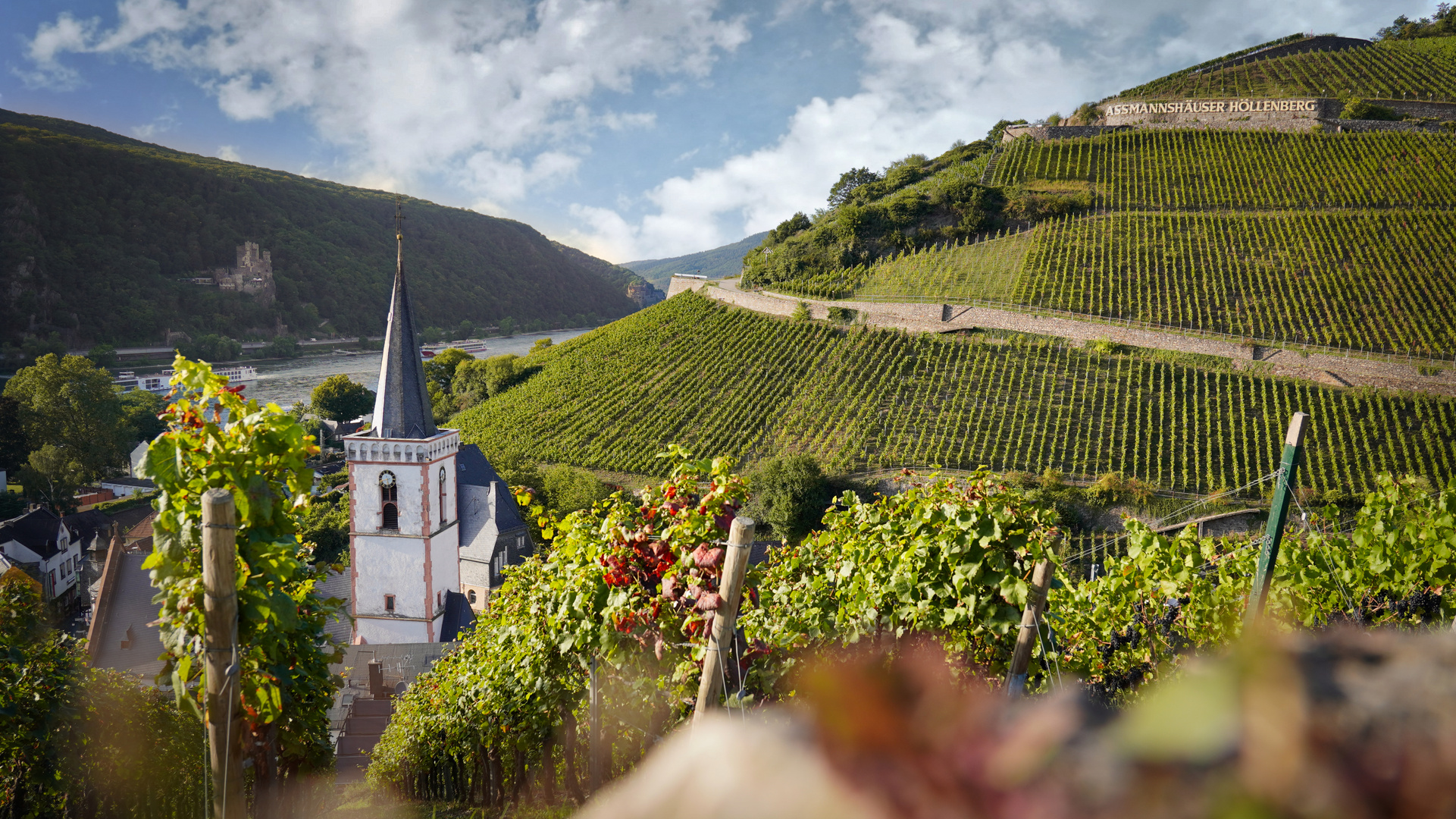 Des Spätburgunder letztes Sonnenbad am Höllenberg