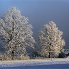 Des Stadtbewohners Wintertraum