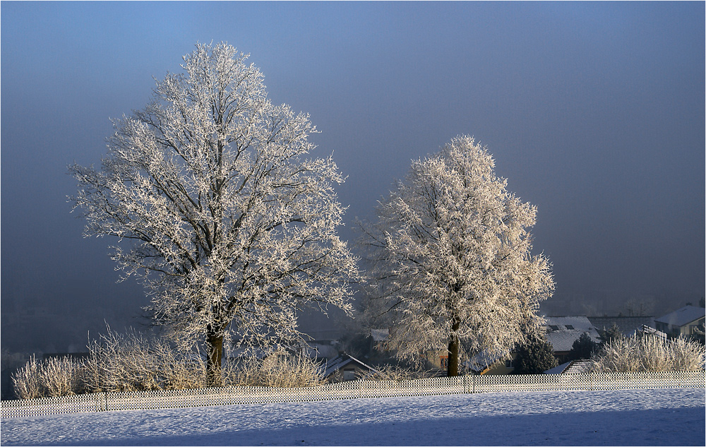 Des Stadtbewohners Wintertraum