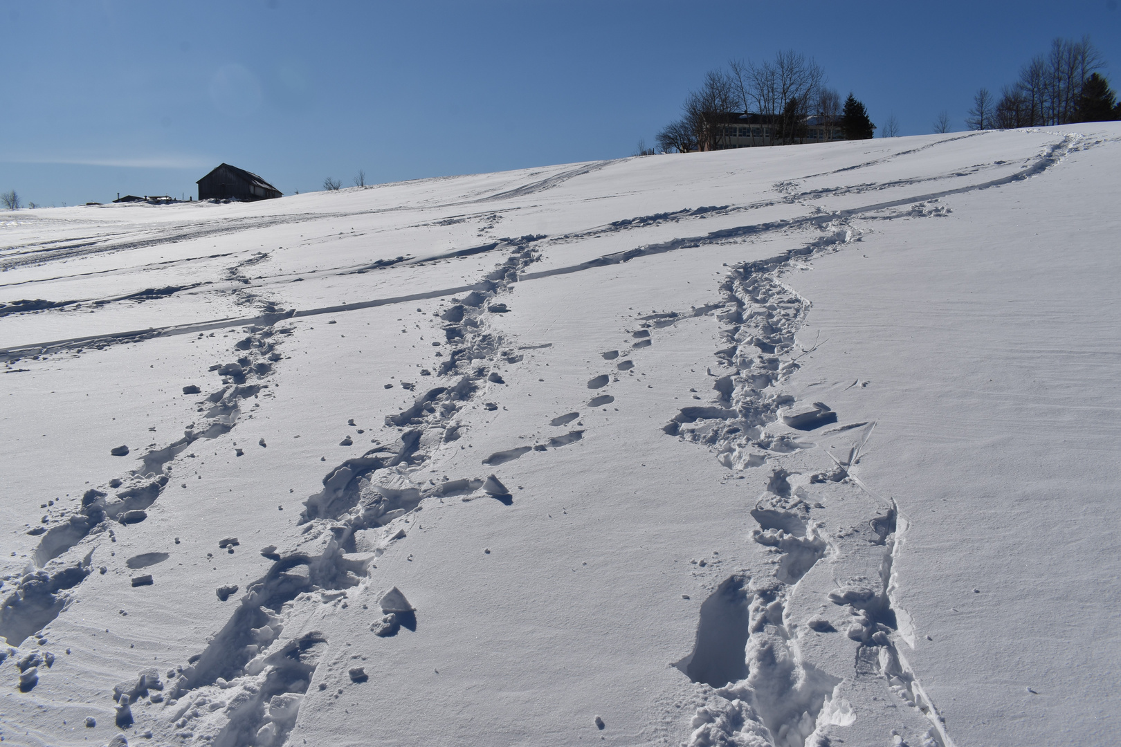 Des traces de pas dans la neige