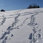 Des traces de pas dans la neige