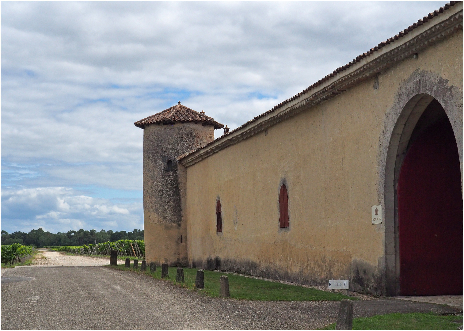 Des vignes et des chais