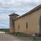 Des vignes et des chais