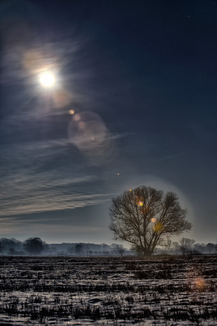 Des vollen Mondes magisch' Licht