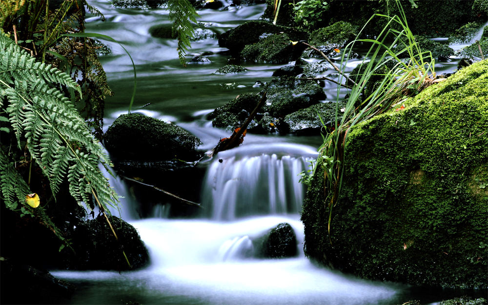 ...des Wanderers Quell...