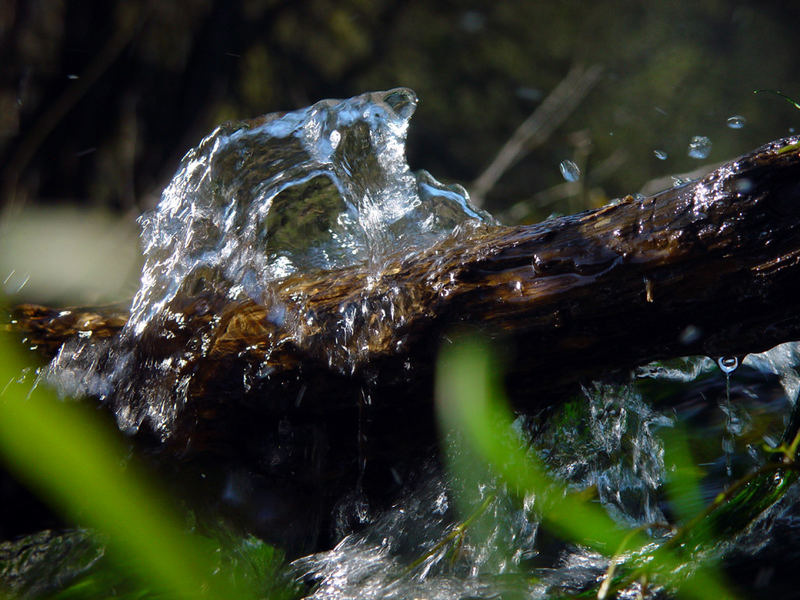 Des Wassers Hand