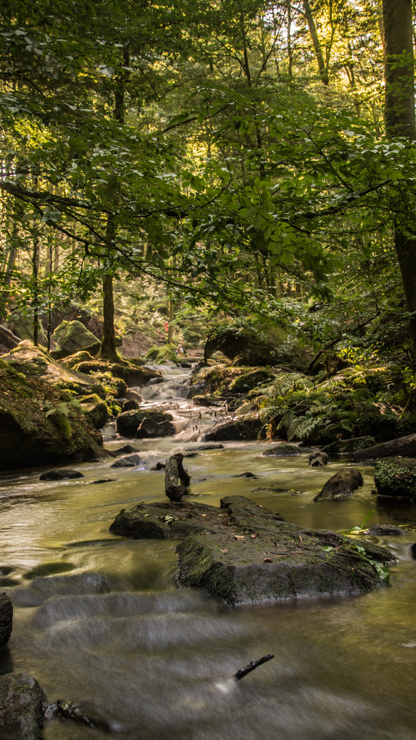 Des Wassers Lauf