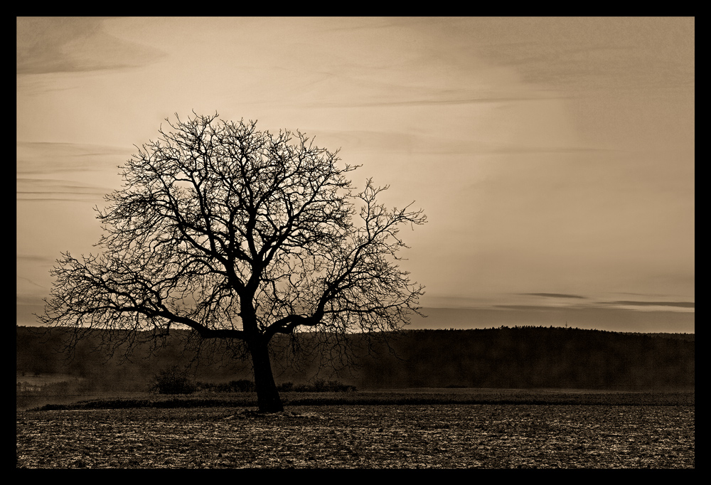 Des Winters düstere Tage