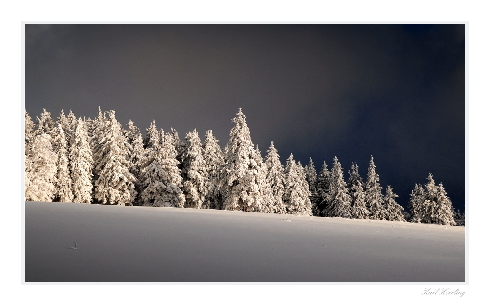 des Winters Licht und Schatten