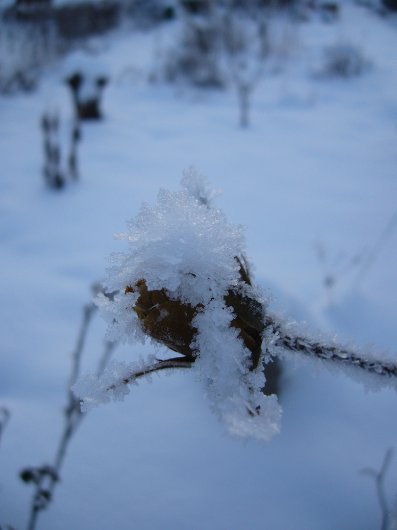 Des Winters schönste basteleien