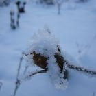 Des Winters schönste basteleien