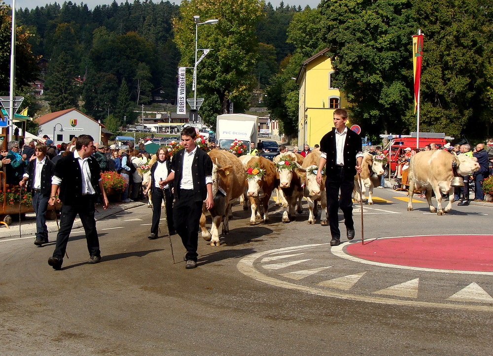 Désalpe in St-Cergue