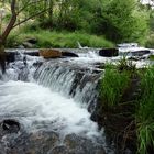 Desbordante naturaleza