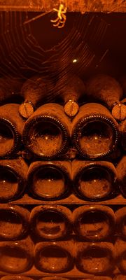 Descansando 80 años