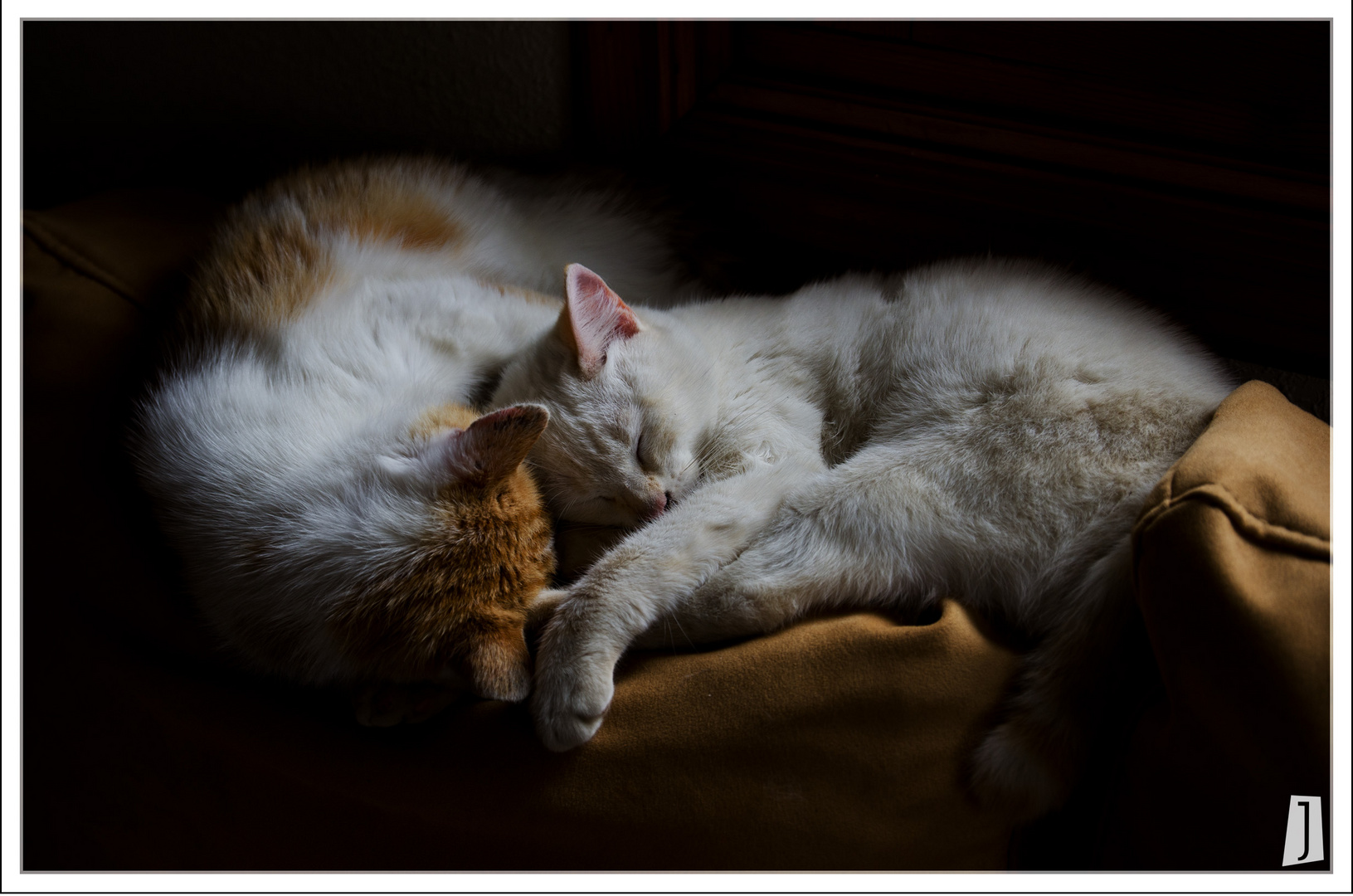 Descansando con cariño