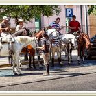 Descansando de la Hìpica. Còrdoba.