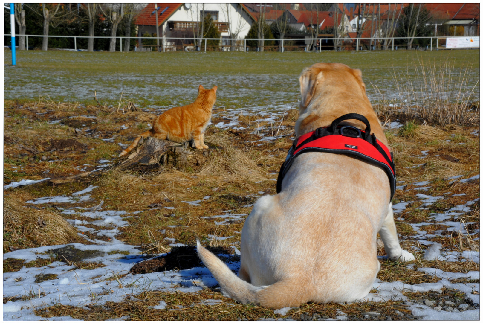 Descansando en el campo de deportes (Beim Ausruhen am Sportplatz)