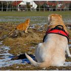 Descansando en el campo de deportes (Beim Ausruhen am Sportplatz)