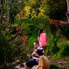 DESCANSO  A LA ORILLA DEL RIO MIÑO EN LUGO