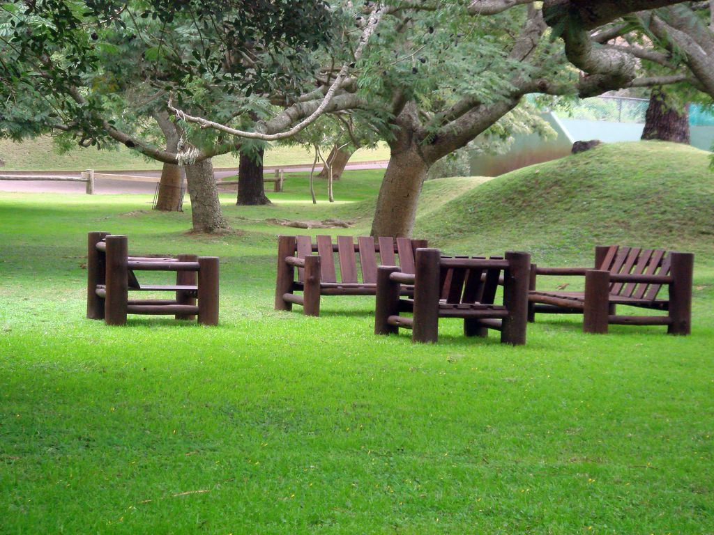 Descanso en el parque.