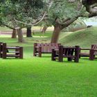 Descanso en el parque.