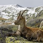 Descanso en las cumbres