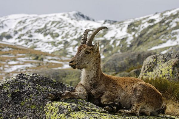 Descanso en las cumbres