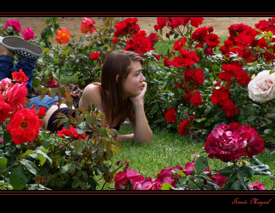 Descanso entre Flores