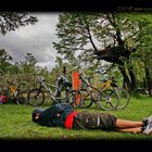 Descanso MTB