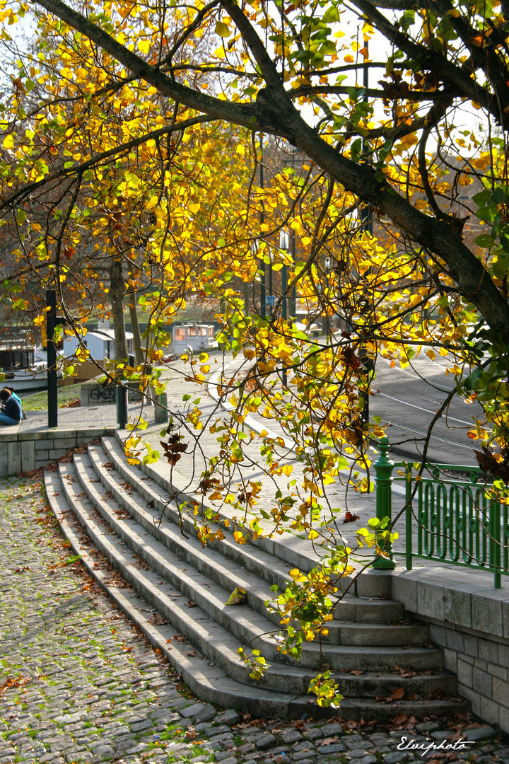 Descendre vers l'Erdre