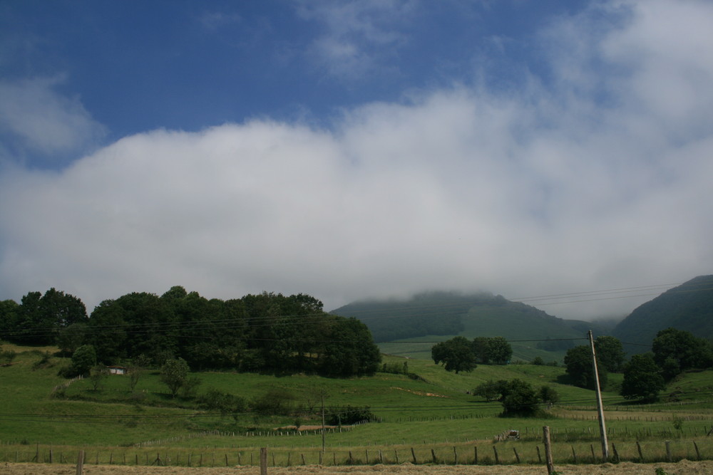 Descenso de la niebla