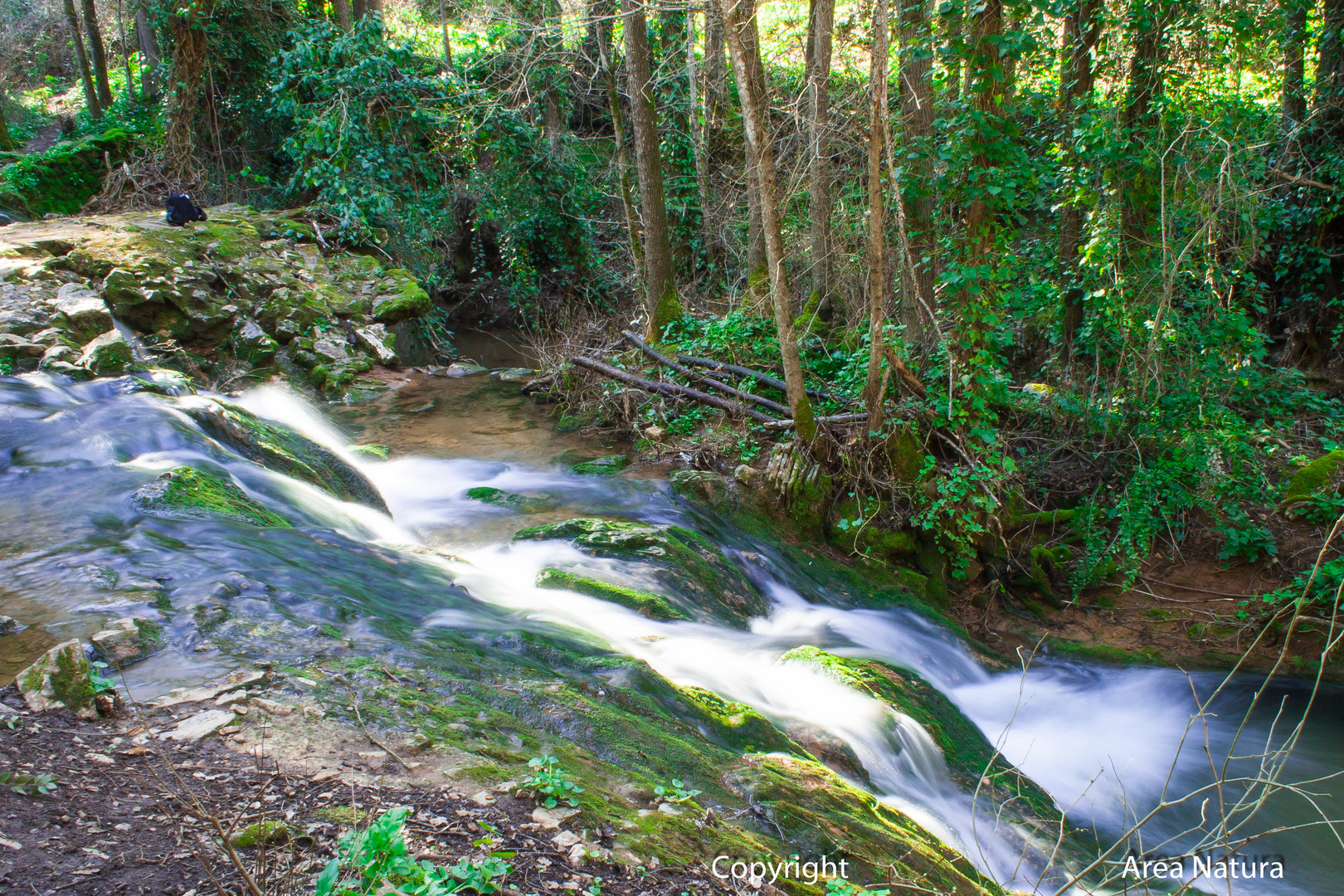 Descenso entre verdes