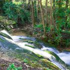 Descenso entre verdes