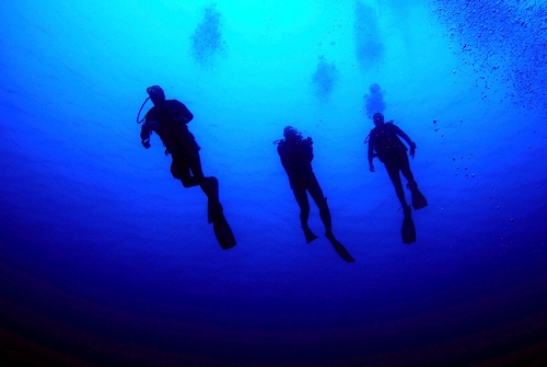 Descente dans le grand bleu...