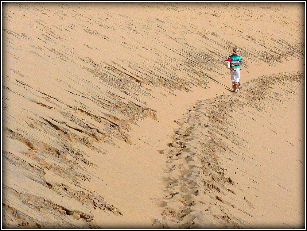 DESCENTE DE LA DUNE