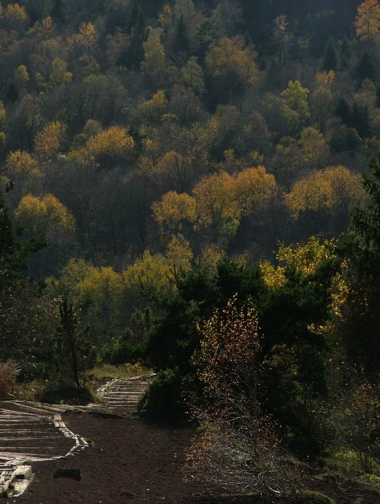 Descente du Puy de la vache